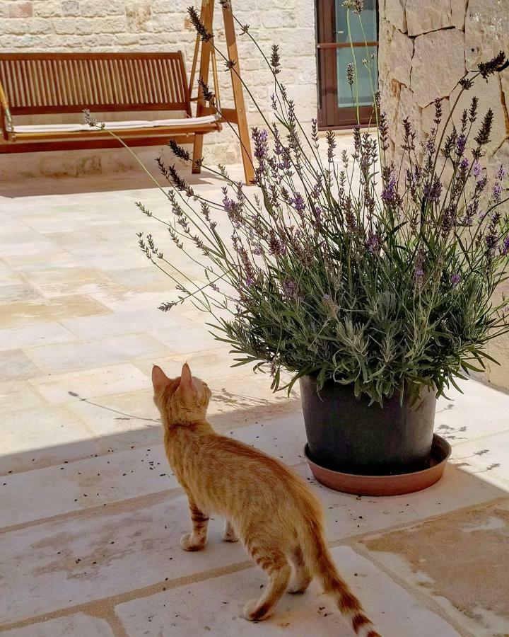 Le Chiancarelle, Casa Vacanza Alberobello Extérieur photo